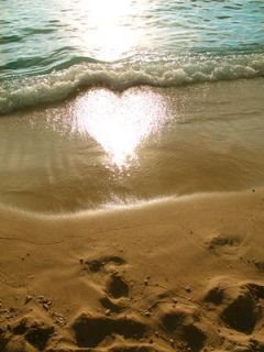 Love Nidhi 6